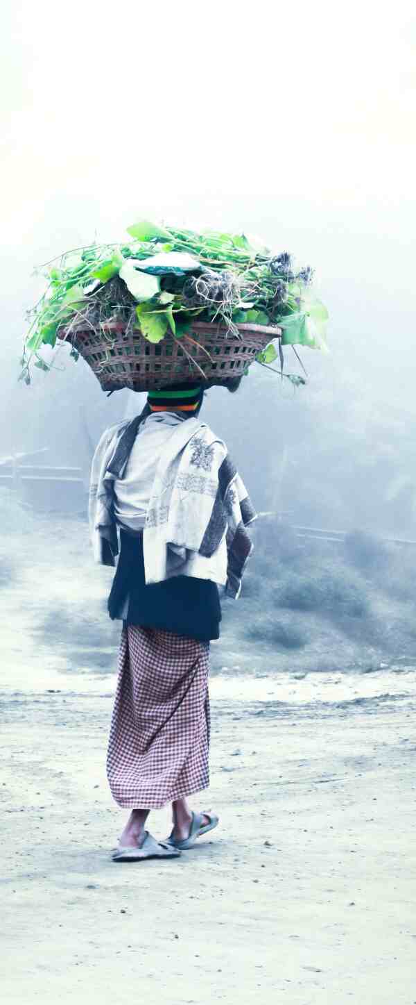 Mann mit großem Korb auf dem Kopf – Foto: Arifur Rahman Tusha