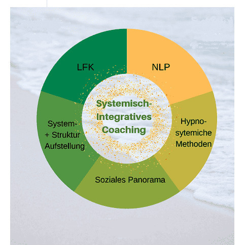 Systemisch-integratives Coaching – Kreisdiagramm – © Reinhard Kotter