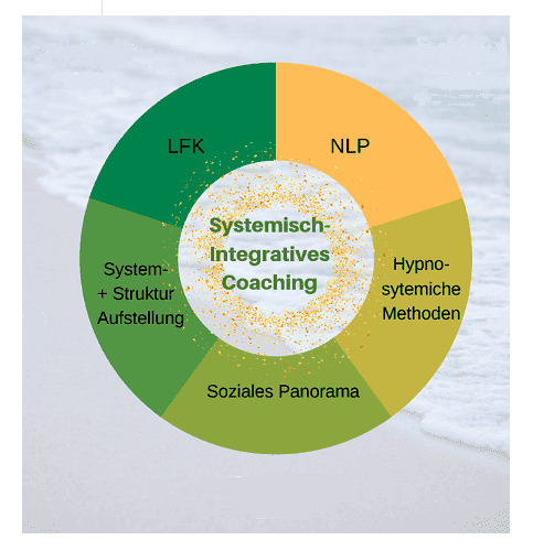Systemisch-integratives Coaching – Kreisdiagramm – © Reinhard Kotter
