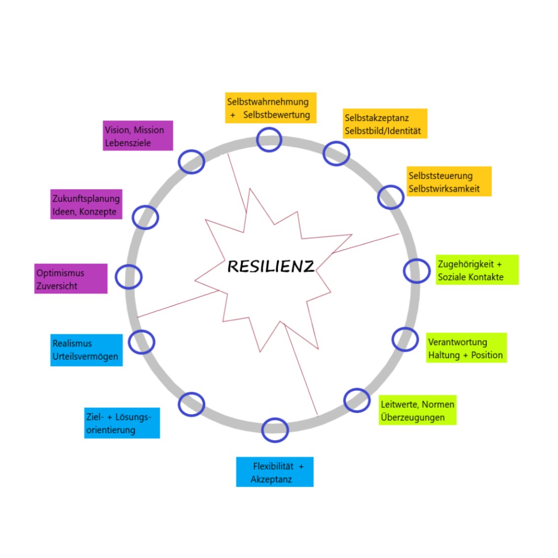 Kreisgrafik – Faktoren der Resilienzentwicklung