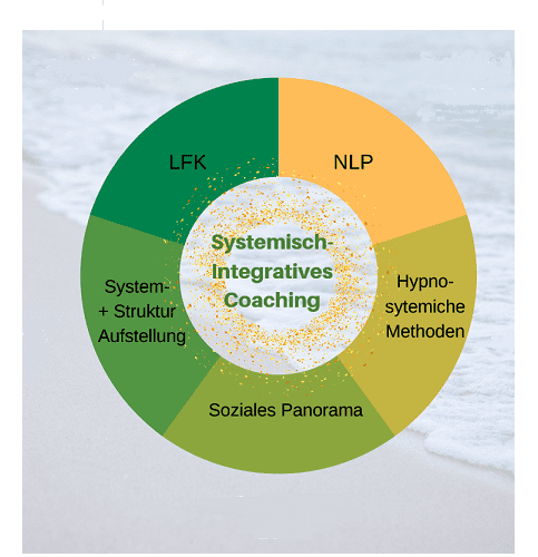 Systemisch-integratives Coaching, Kreisdiagramm ©Reinhard Kotter